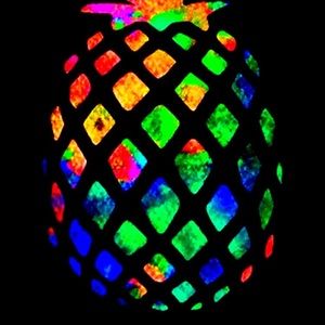 Meet your Posher, Caleb